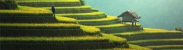 s_asia